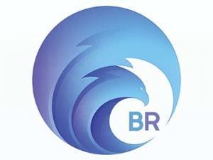Logo Design – BR Investment