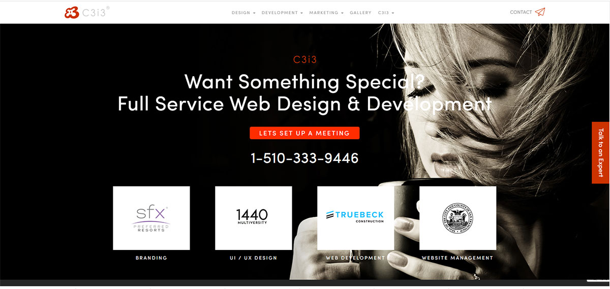 wordpress website design company California