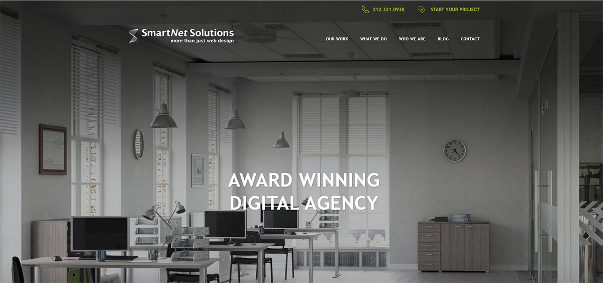 Smart Net solution web design